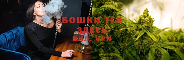 МДПВ Инсар