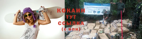 прущие крисы Иннополис