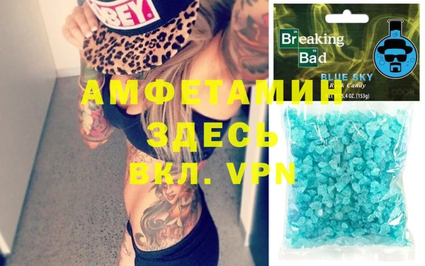 МДПВ Инсар