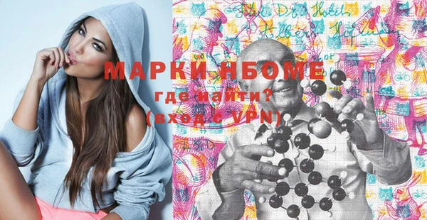 МДПВ Инсар