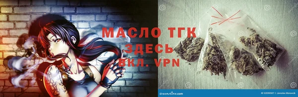 МДПВ Инсар