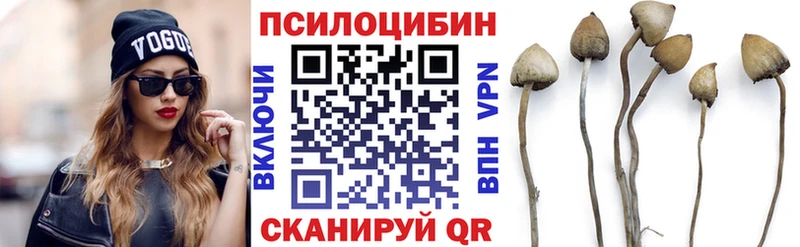 Галлюциногенные грибы мицелий Михайловка